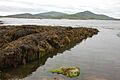 Smerwick Harbour - geograph.org.uk - 504665
