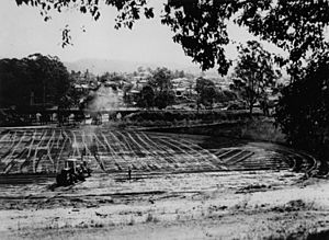 StateLibQld 1 118236 Moorland Park in Auchenflower, Brisbane, in 1948