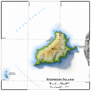 Stephens Island