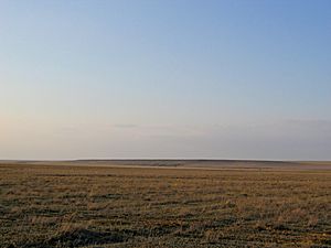 Steppe of western Kazakhstan in the early spring