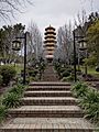 Steps leading to the pagoda at the Nan Tien Temple August 2020