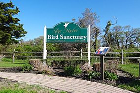 Stone Harbor Bird Sanctuary, NJ - 01.jpg