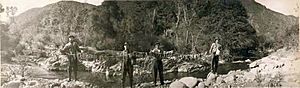 Stringer of Steelhead Trout Upper Sisquoc River 1916.jpg