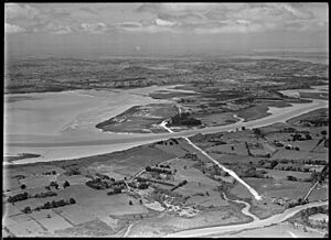 Te Atatu aerial view in 1951