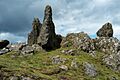 The Bomb Rocks, Charnwood Lodge SSSI, Charnwood Forest