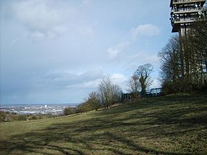Turner's Hill View - geograph.org.uk - 369654.jpg