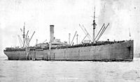 USS Mexican (ID-1655)