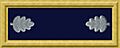 Union army lt col rank insignia