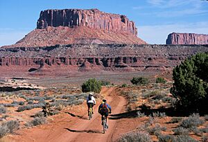 White Rim Road (Island in the Sky)