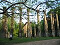 Windsor Ruins 03
