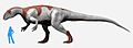 Yangchuanosaurus NT small
