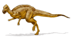 Zalmoxes dinosaur