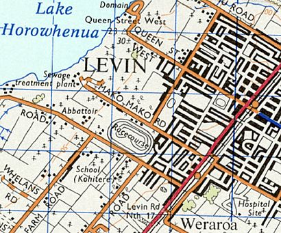 1973 map of Levin.jpg