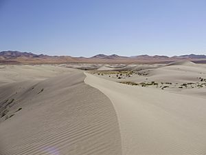 2012-10-14 14 Winnemucca Sand Dunes, north of Winnemucca in Nevada
