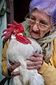 A 95 year old woman with her pet rooster, Havana, Cuba