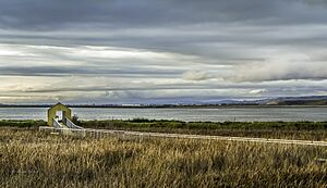 Alviso Marina County Park View At Sunset