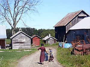Amish farm morristown new york
