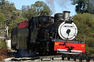 BBRNG15123Fremantle