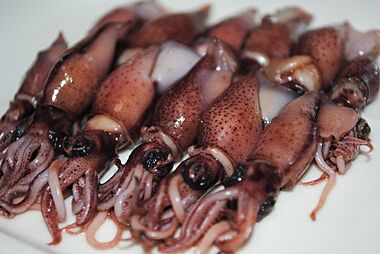Boiled firefly squids (2014.03.19)