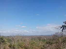 Bosque Seco Ecuatorial Tumbesino.jpg