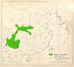 CL-11 Pinus armandii range map.png