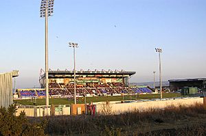 Caledonian stadium