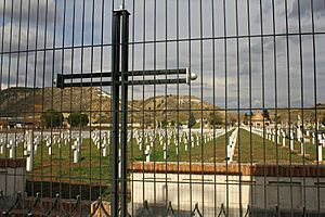 Cementerio de los Mártires de Paracuellos (2)