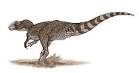 Chuandongocoelurus life restoration.jpg
