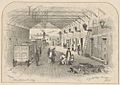 City railway terminus, Sydney (1856)