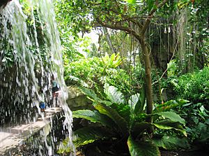 Cleveland Botanical Garden - interior 2