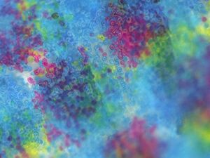 Color Laser Printer Magnified
