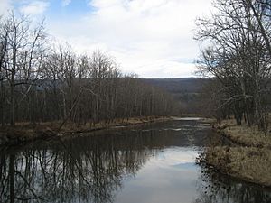 Cowpasture River