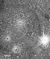 Epigeus crater on Ganymede.