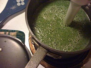 Cream of spinach soup (rotated)