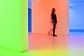 Cruz-Diez 2013 Grand Palais Paris France