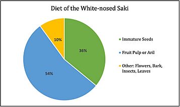 Diet of the White-nosed Saki (Pie Chart)