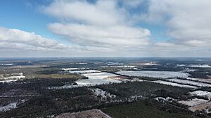 Dji fly 20250122 124616 320 1737567986403 photo optimized