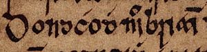 Donnchad mac Briain (Oxford Bodleian Library MS Rawlinson B 488, folio 18r)