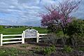 Earth Day Howard County - 51132245439