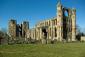 Elgin Cathedral view from rear.jpg