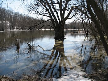 Eramosa River in Guelph Ontario early spring.jpg