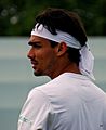 Fabio Fognini (14544903364)