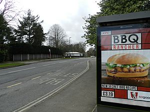 Fast food advert on bus stop near school - geograph.org.uk - 2840490