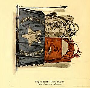 Flag of Hood's Texas Brigade
