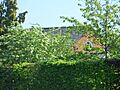 Former Baptist Chapel, East side of Cranleigh Common, Cranleigh (May 2014)