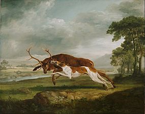 George Stubbs, English - Hound Coursing a Stag - Google Art Project