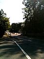 Georgetown Pike - looking East