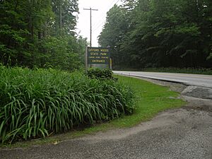 Gifford woods state park (2601284043)