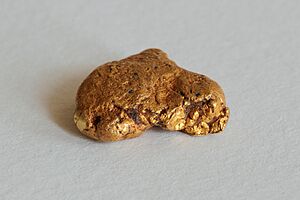 Gold nugget