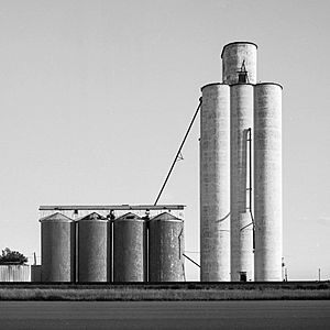 Grain Elevator in Umbarger, Texas 11-6-2011